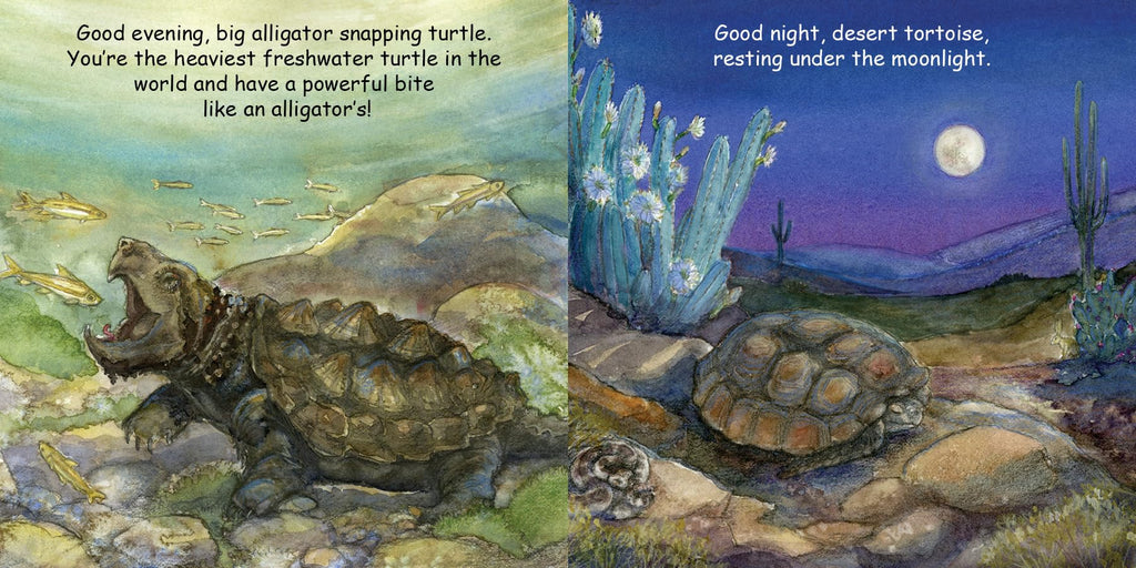Good Night Turtles (Good Night Our World)