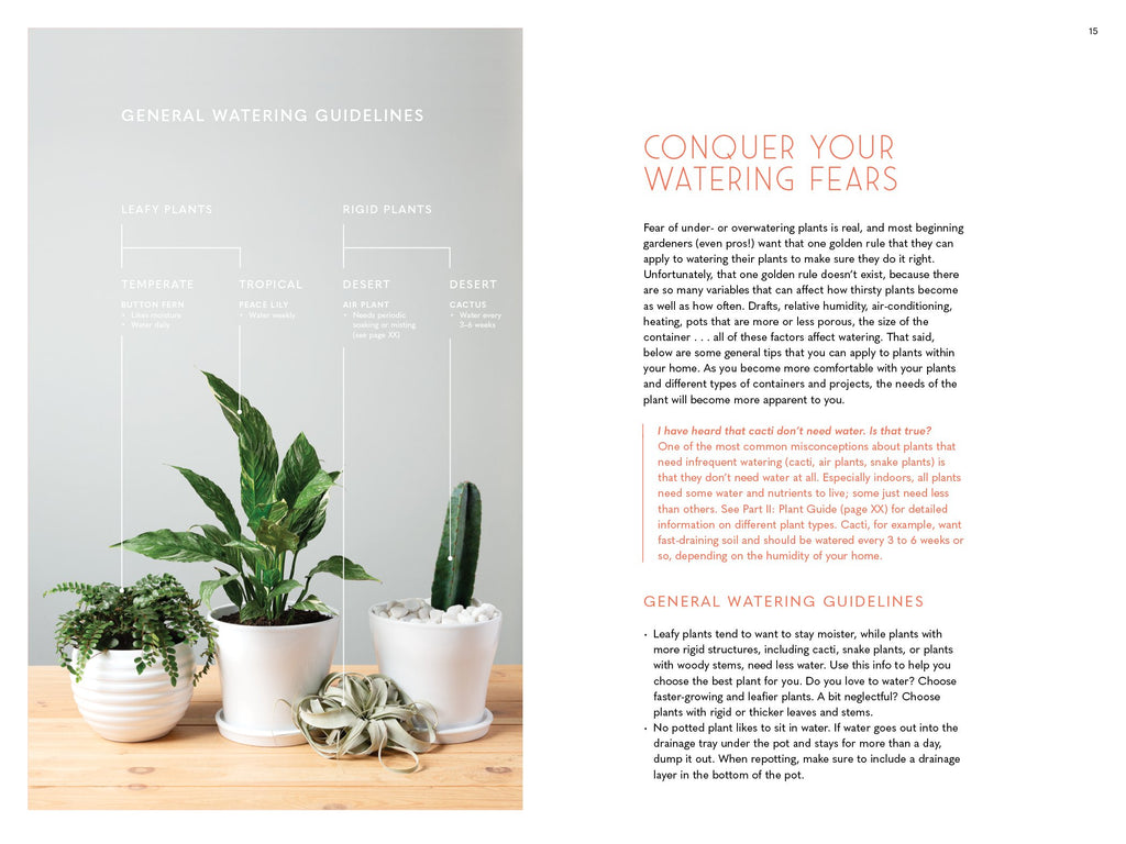 The Inspired Houseplant: Transform Your Home with Indoor Plants from Kokedama to Terrariums and Water Gardens to Edibles
