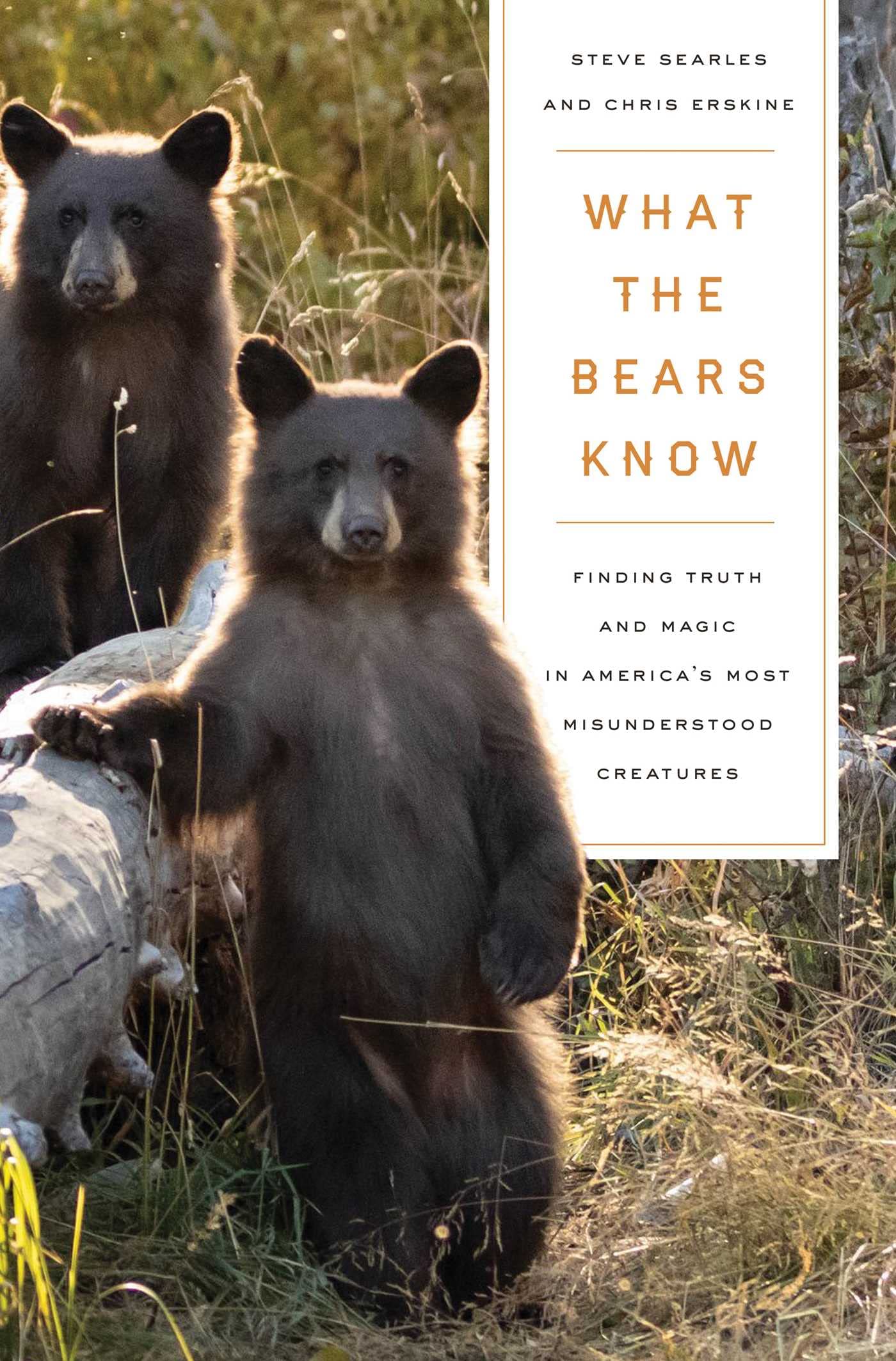 What the Bears Know: How I Found Truth and Magic in America's Most Misunderstood Creatures?A Memoir by Animal Planet's "The Bear Whisperer"
