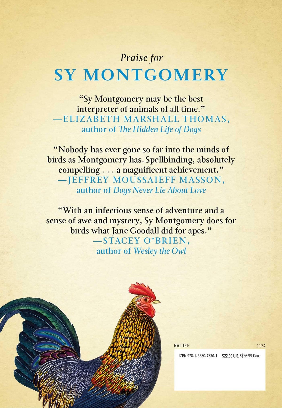 What the Chicken Knows: A New Appreciation of the World's Most Familiar Bird
