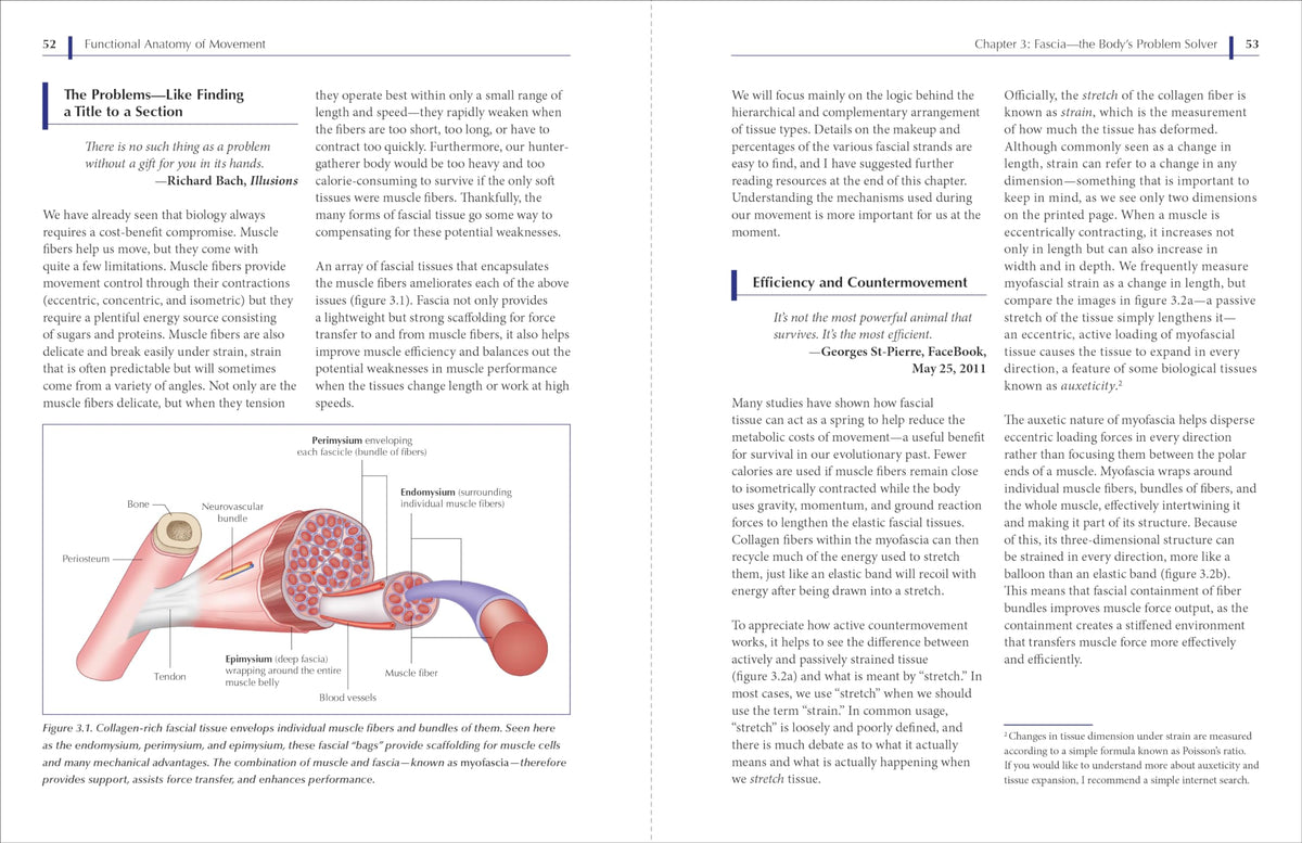 Functional Anatomy of Movement: An Illustrated Guide to Joint Movement, Soft Tissue Control, and Myofascial Anatomy-- For yoga teachers, pilates instructors & movement & manual therapists
