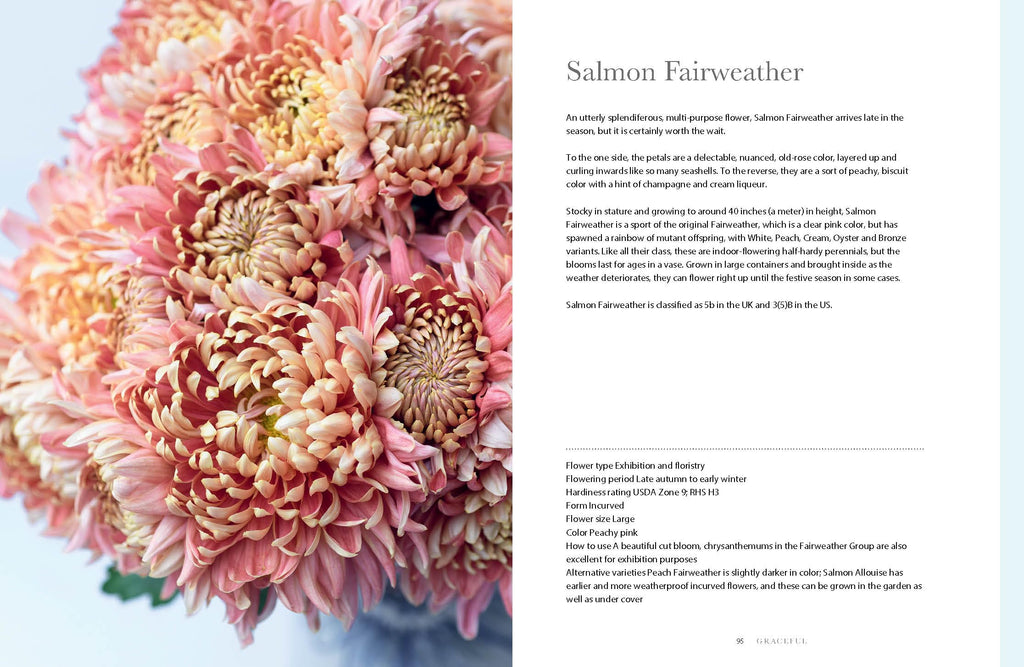 Chrysanthemums: Beautiful Varieties for Home and Garden (Flowers)