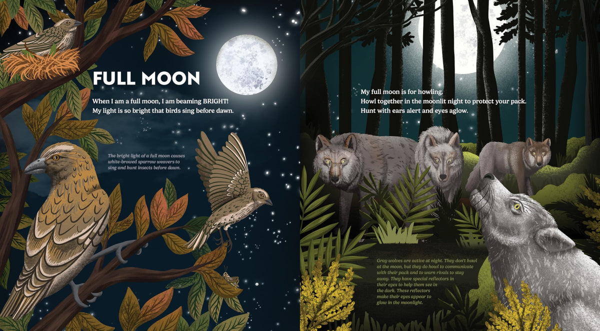 Wild Moon: How the Lunar Phases Light Up Our World