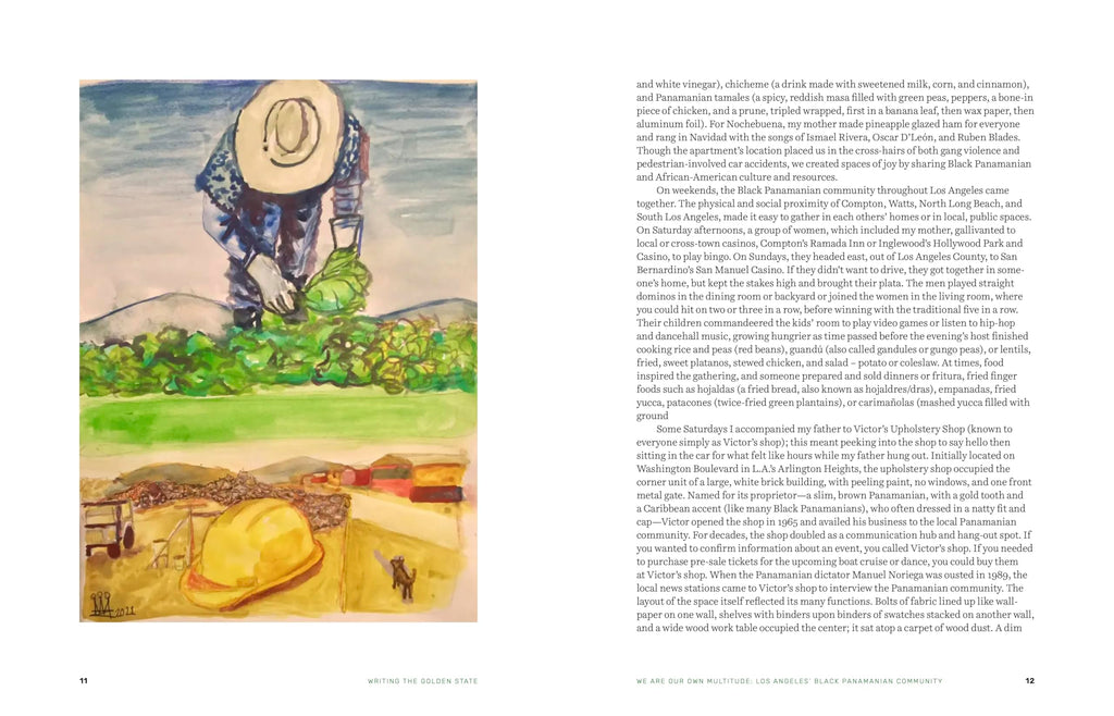 Writing the Golden State: The New Literary Terrain of California