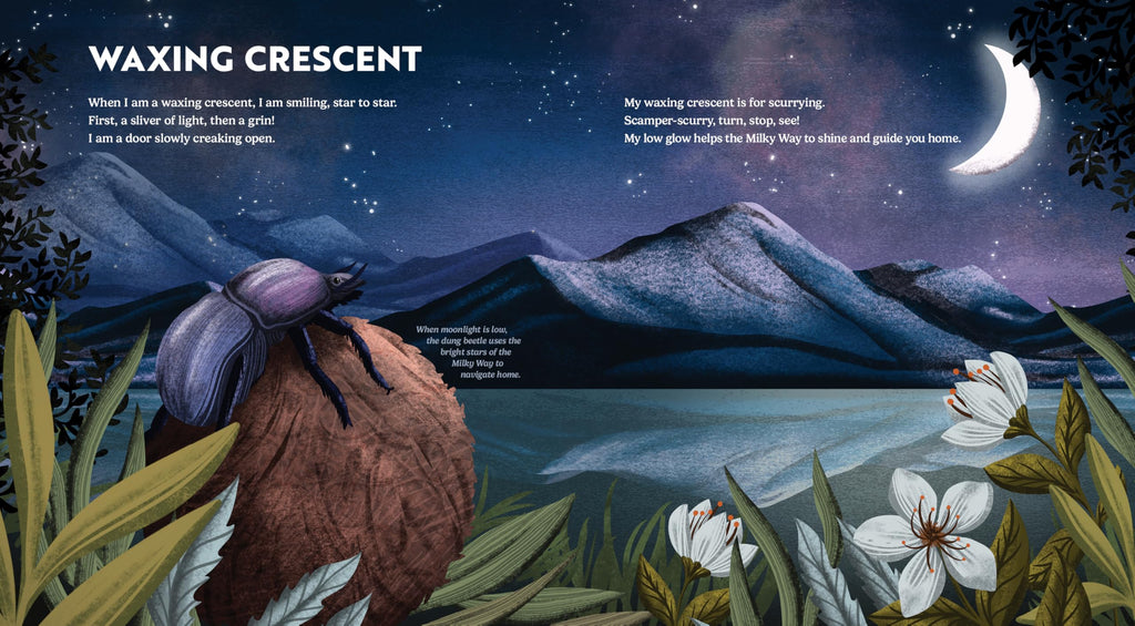 Wild Moon: How the Lunar Phases Light Up Our World