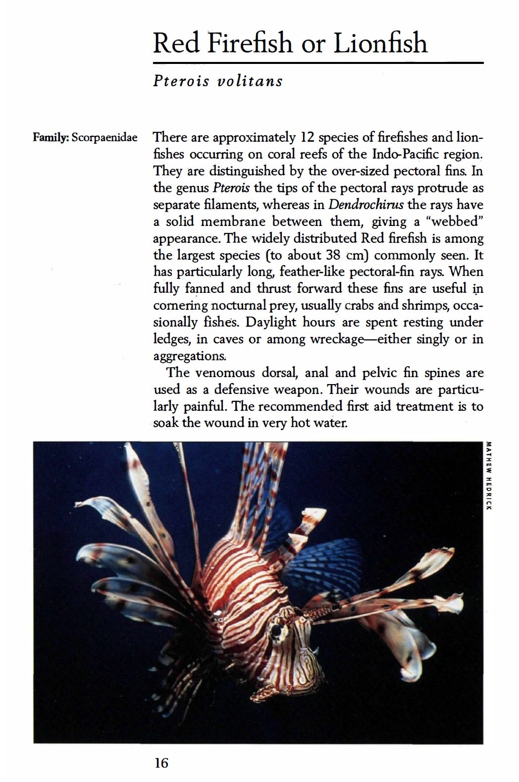 Handy Pocket Guide to Tropical Coral Reef Fishes (Handy Pocket Guides)