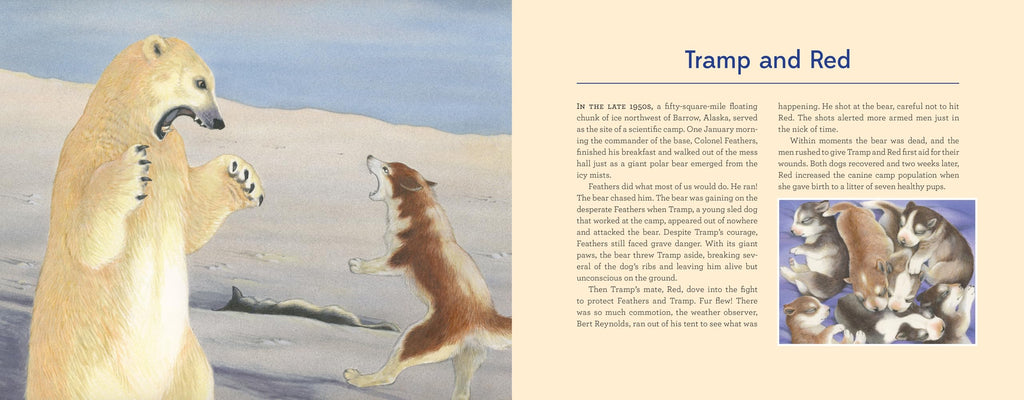 Alaska's Dog Heroes: True Stories of Remarkable Canines (Alaska Books)