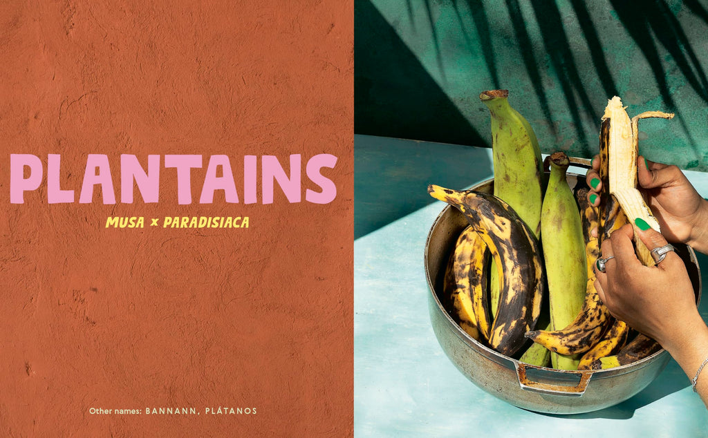 Belly Full: Exploring Caribbean Cuisine through 11 Fundamental Ingredients and over 100 Recipes [A Cookbook]