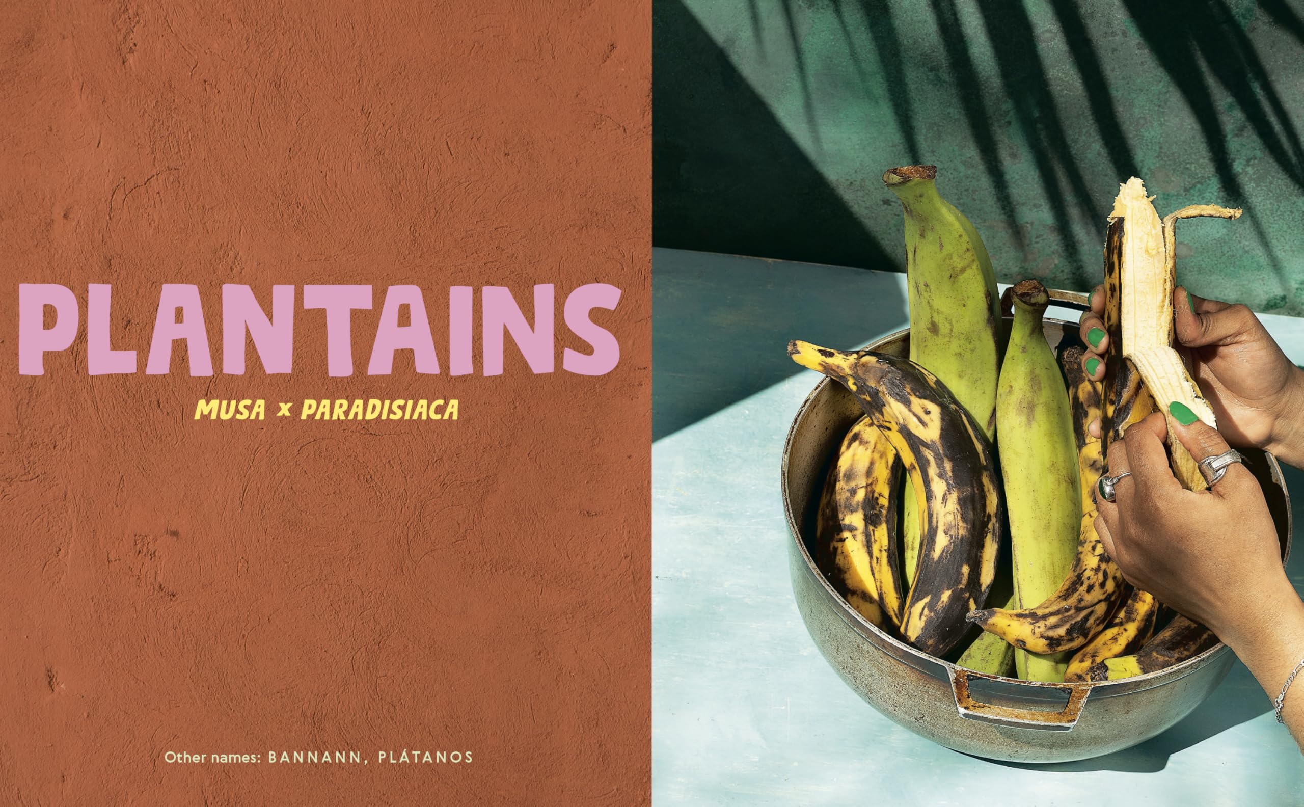 Belly Full: Exploring Caribbean Cuisine through 11 Fundamental Ingredients and over 100 Recipes [A Cookbook]