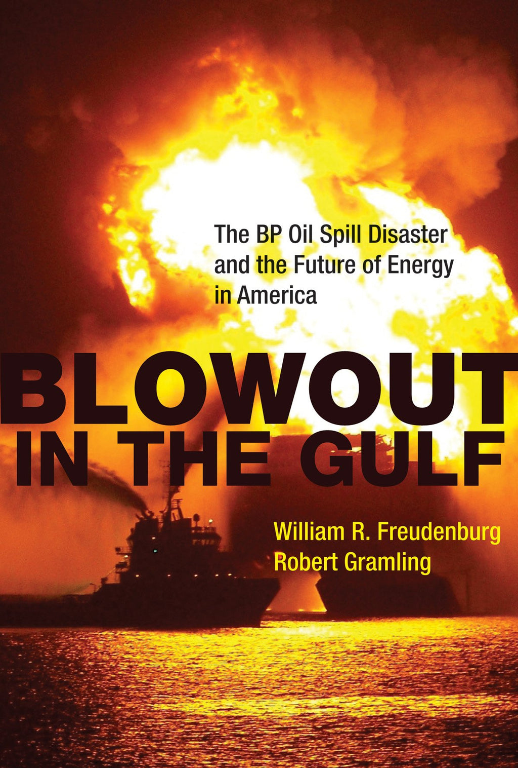 Blowout in the Gulf: The BP Oil Spill Disaster and the Future of Energy in America