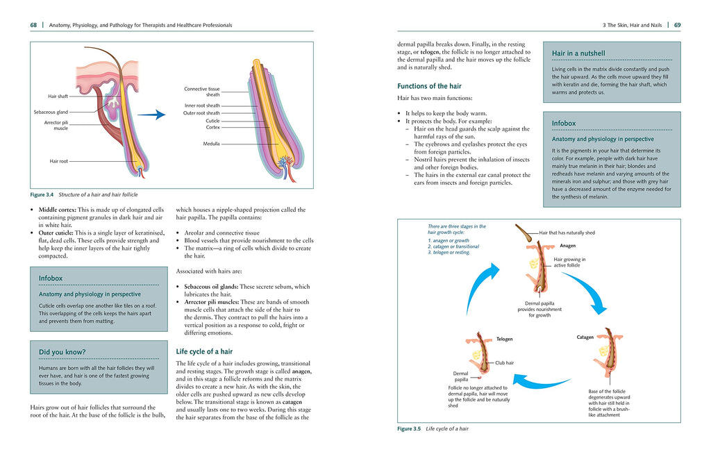 Anatomy, Physiology, and Pathology, Third Edition: A Practical, Illustrated Guide to the Human Body for Students and Practitioners--Clear and accessible, with study tips and full-color visual aids