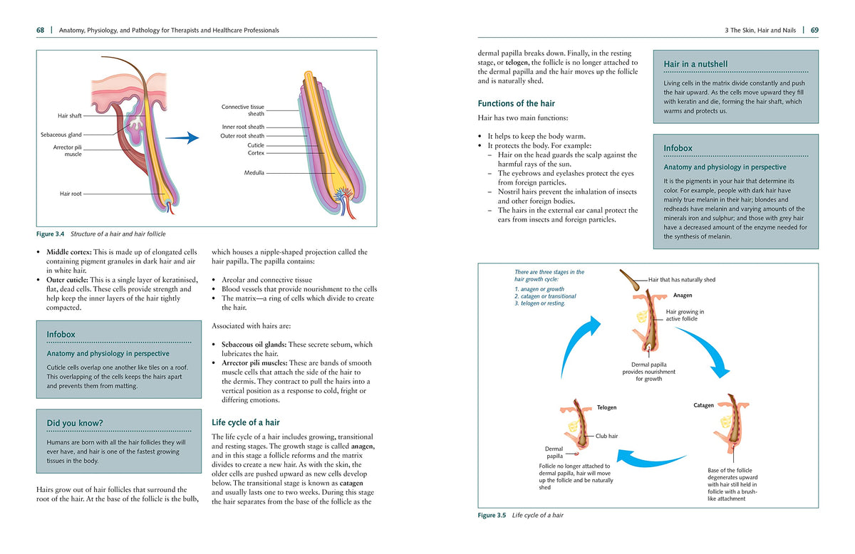 Anatomy, Physiology, and Pathology, Third Edition: A Practical, Illustrated Guide to the Human Body for Students and Practitioners--Clear and accessible, with study tips and full-color visual aids