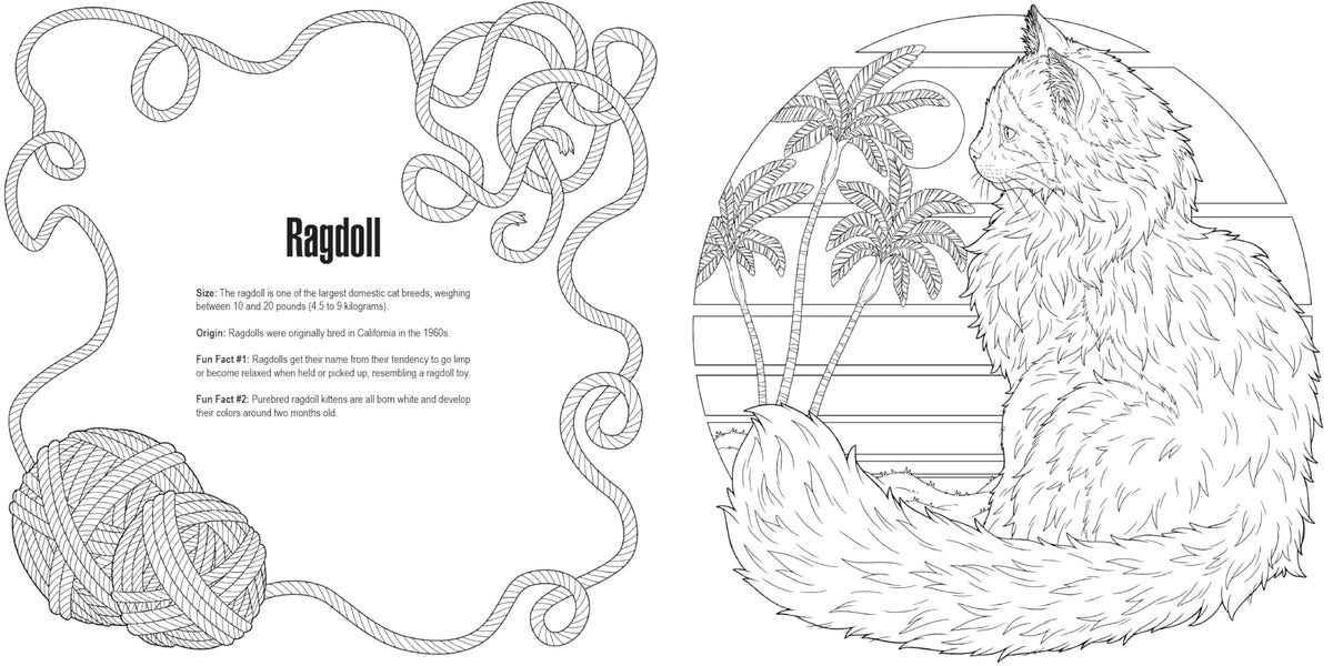 Cats: A Smithsonian Coloring Book