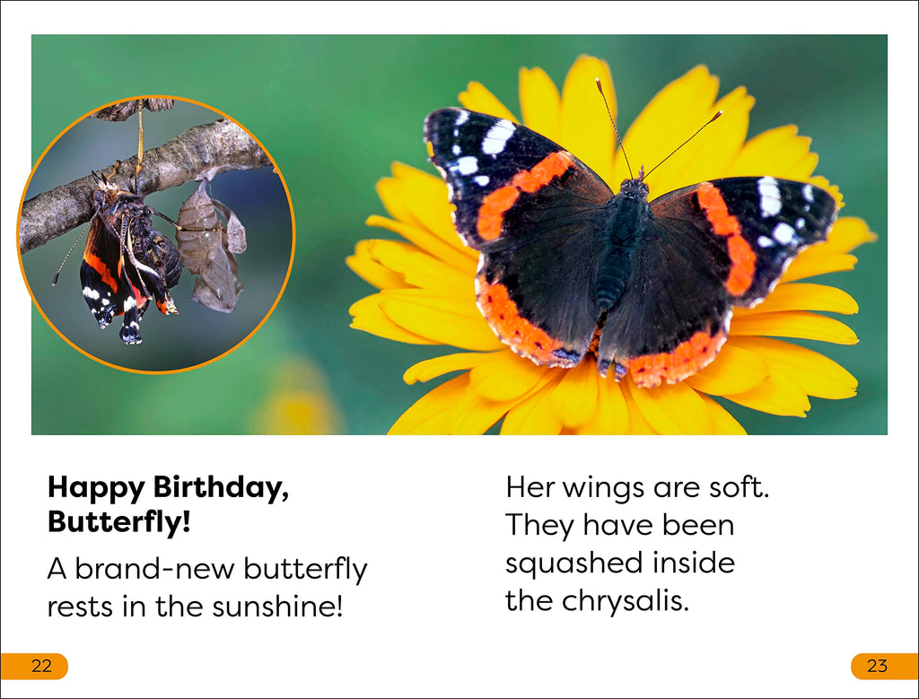 DK Super Readers Level 1 Becoming a Butterfly