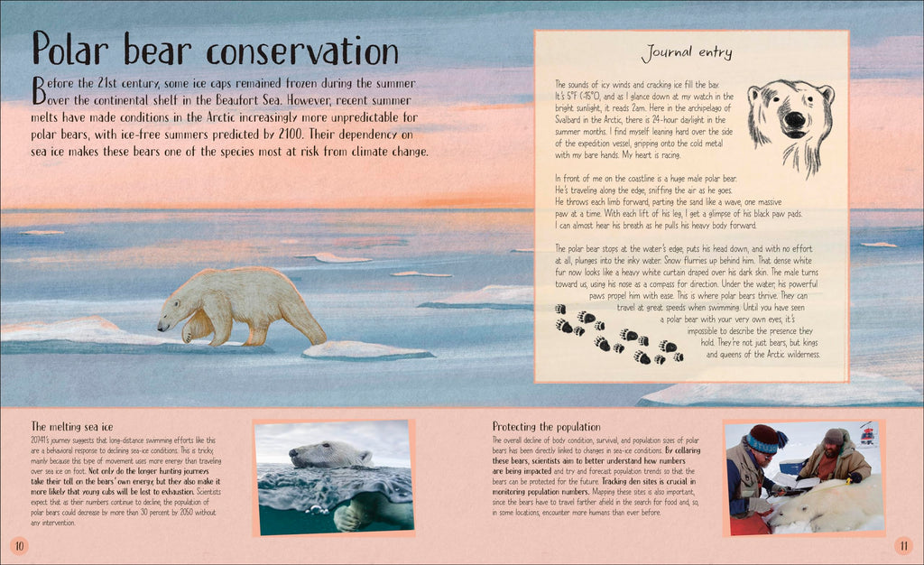 Life in the Wild: Observing the Mysterious Lives of 10 Real Animals
