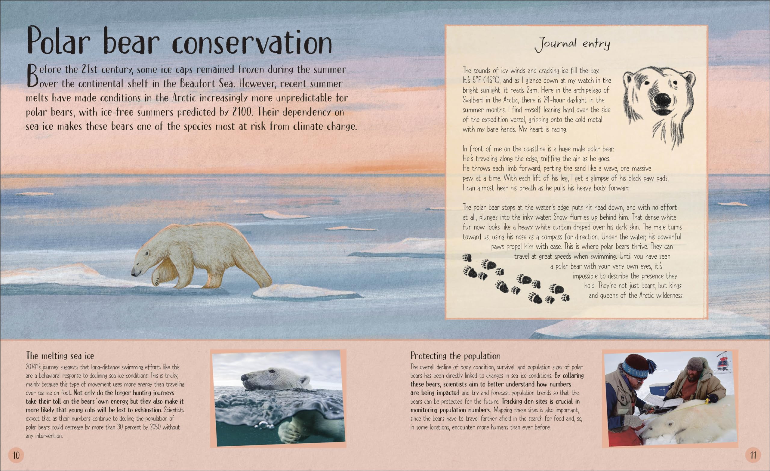 Life in the Wild: Observing the Mysterious Lives of 10 Real Animals