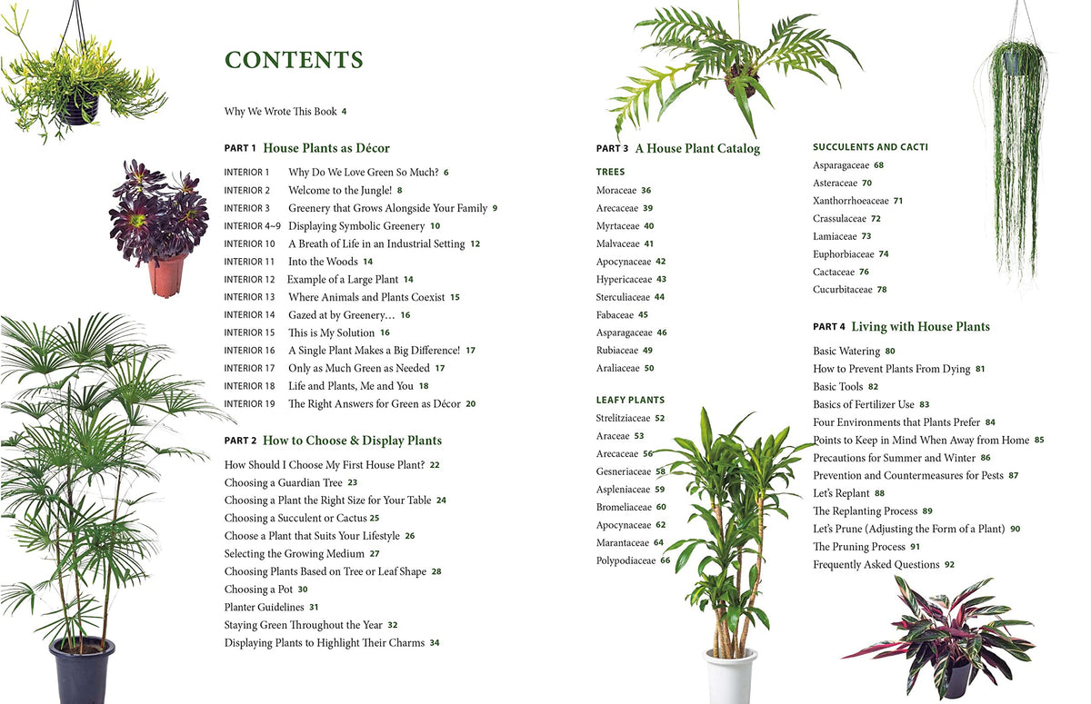 House Plants for Every Space: A Concise Guide to Selecting, Designing and Maintaining Plants in Any Indoor Space