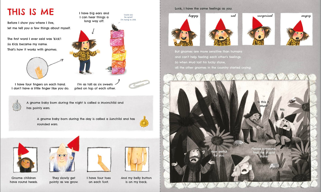 The Gnome Book