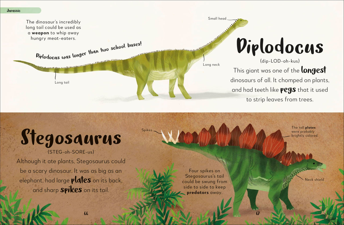 Bedtime Books: A Lovable Introduction to Animals and Dinosaurs