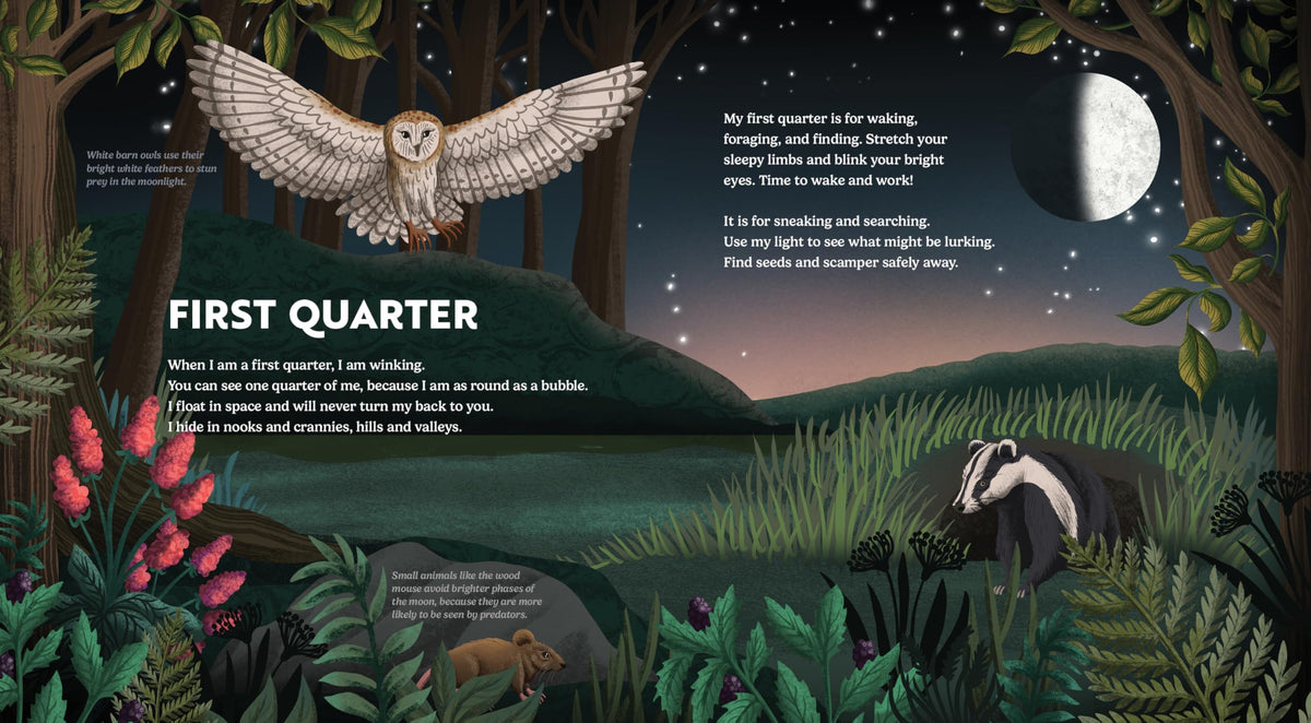Wild Moon: How the Lunar Phases Light Up Our World