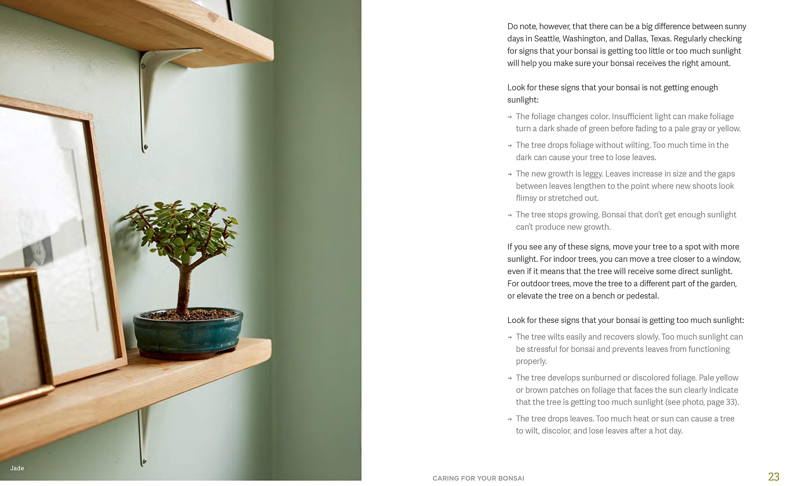 The Little Book of Bonsai: An Easy Guide to Caring for Your Bonsai Tree