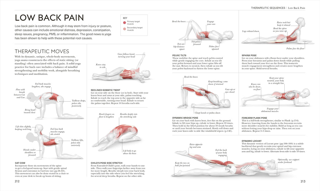 Science of Yoga: Understand the Anatomy and Physiology to Perfect Your Practice (The Science of Fitness)