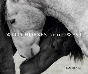 Wild Horses of the West (Wild in the West)