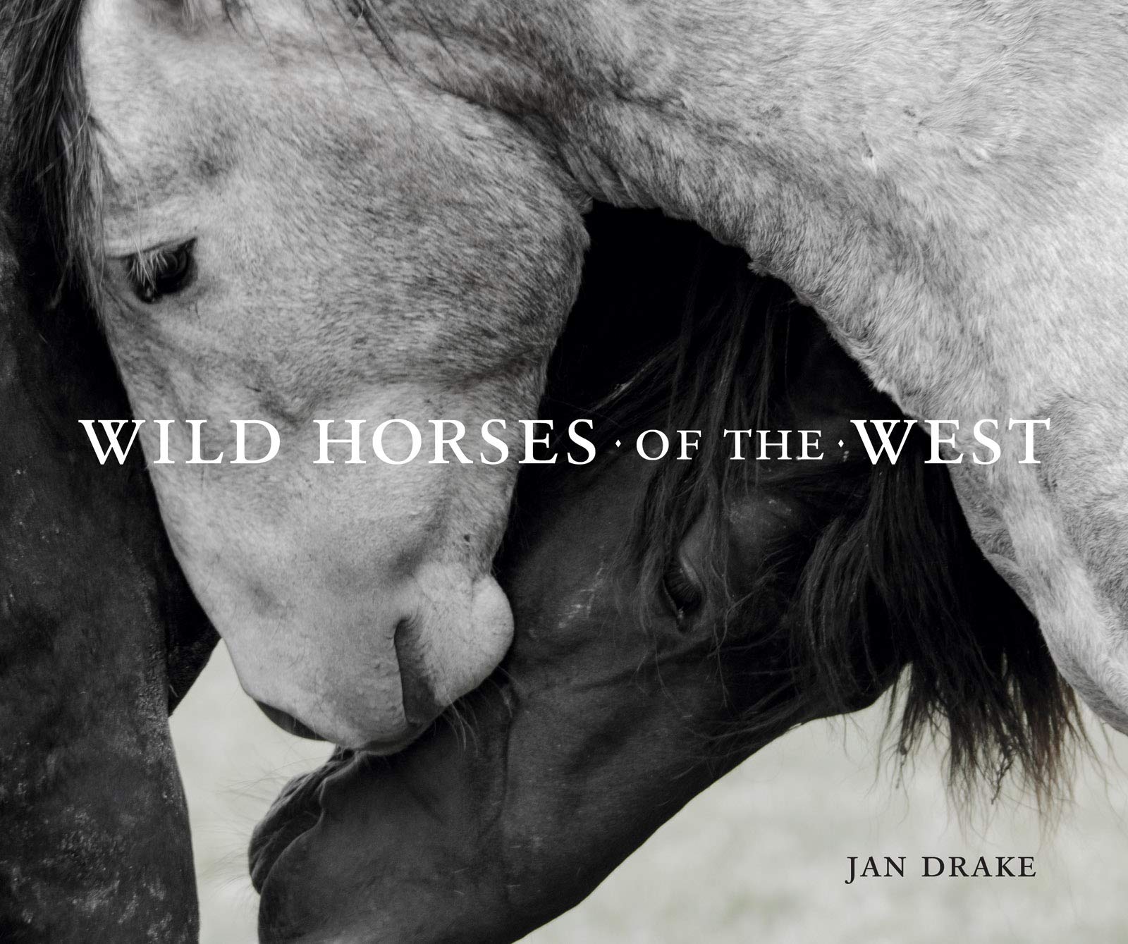 Wild Horses of the West (Wild in the West)