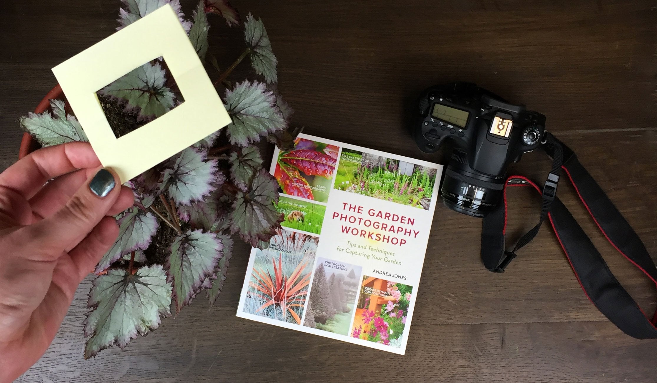 The Garden Photography Workshop: Expert Tips and Techniques for Capturing the Essence of Your Garden