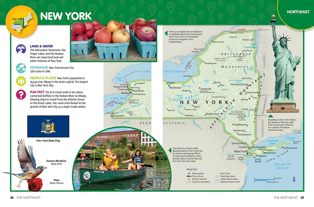 National Geographic Kids Beginner's U.S. Atlas 2020, 3rd Edition (NGK Atlases)
