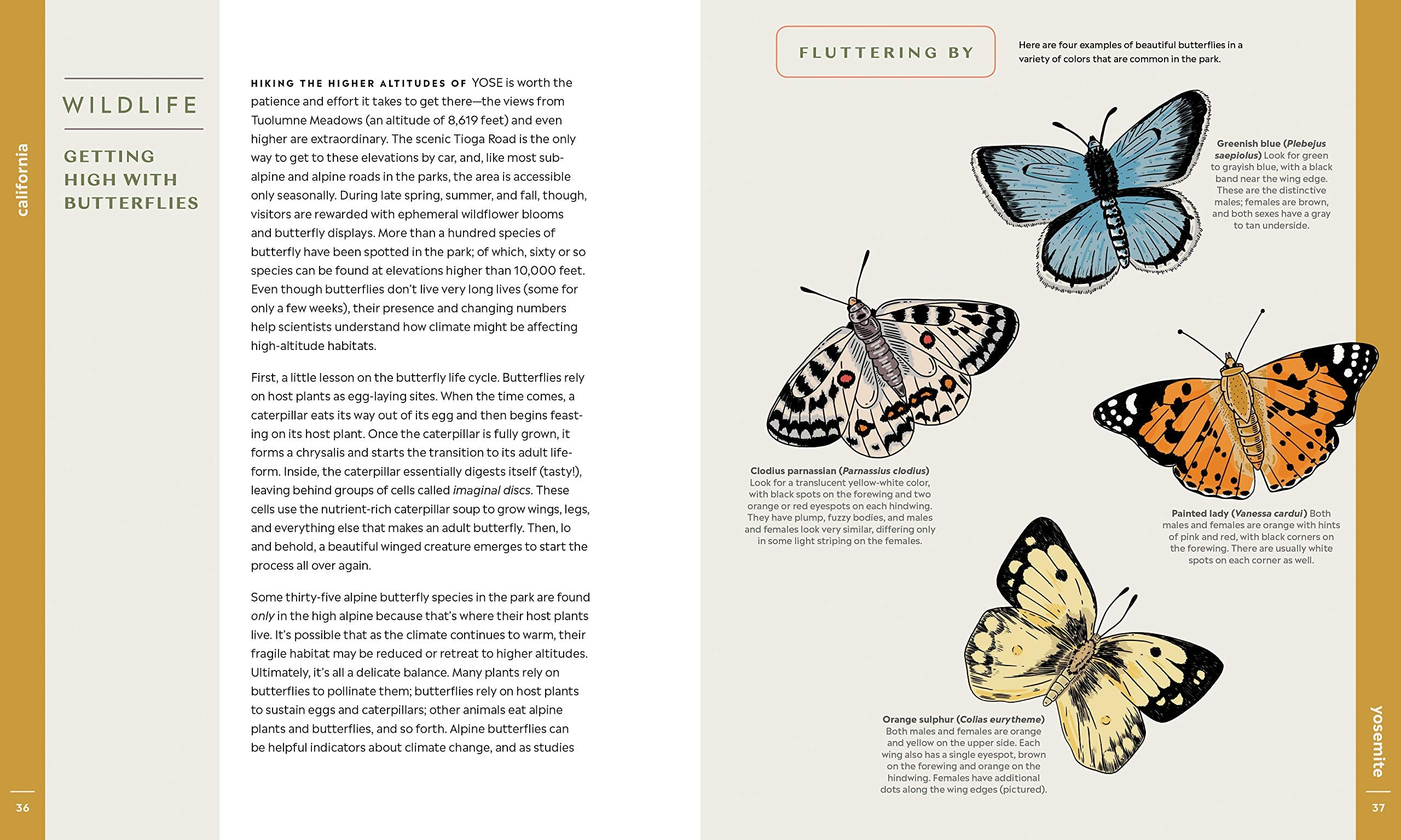 Scenic Science of the National Parks: An Explorer's Guide to Wildlife, Geology, and Botany