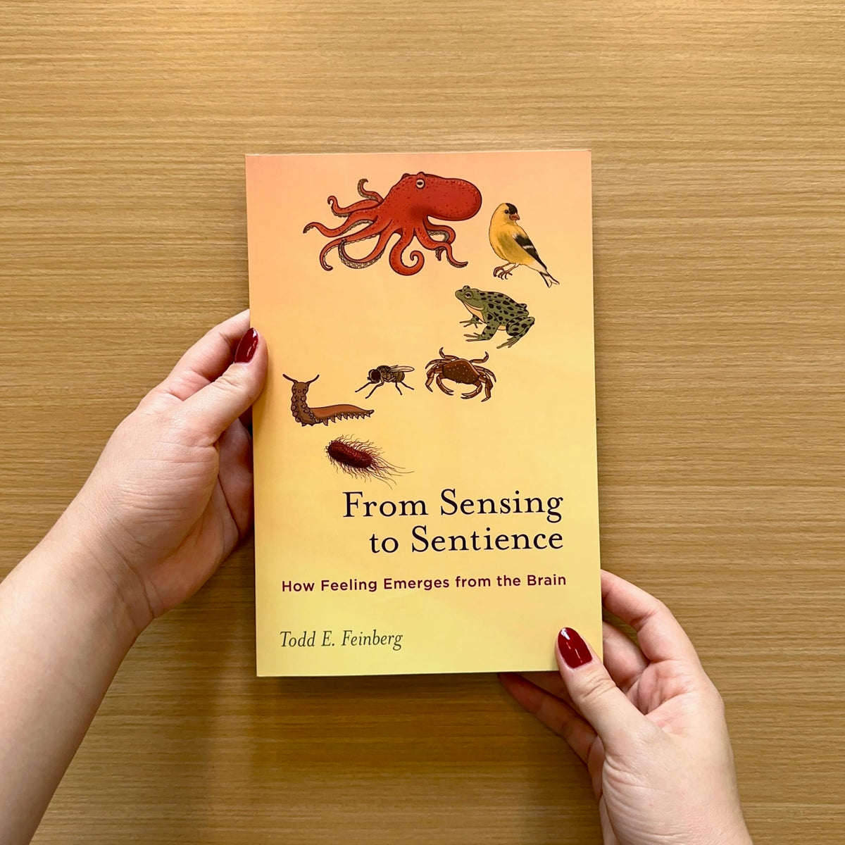 From Sensing to Sentience: How Feeling Emerges from the Brain