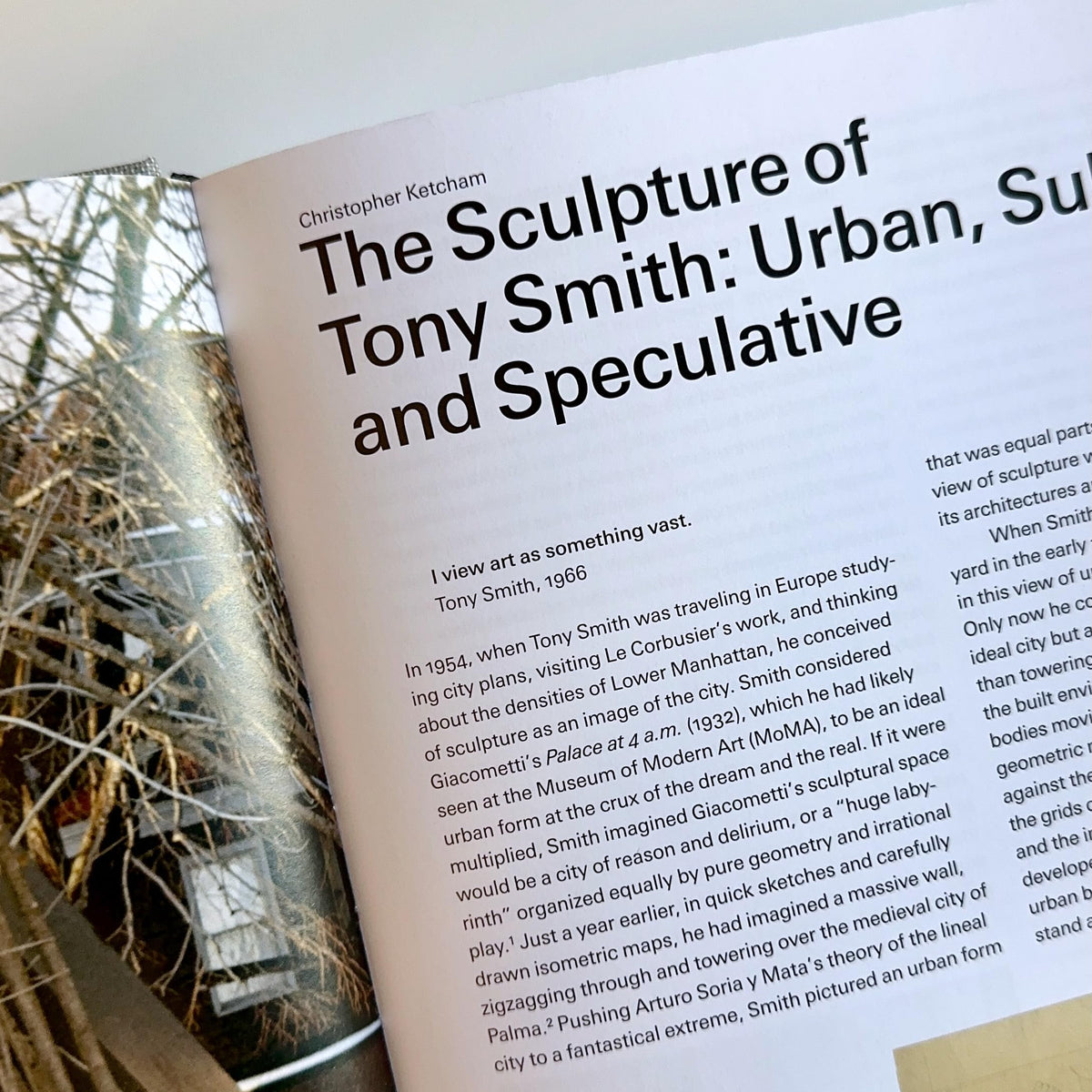 Tony Smith Sculpture: Catalogue Raisonné Volume 1