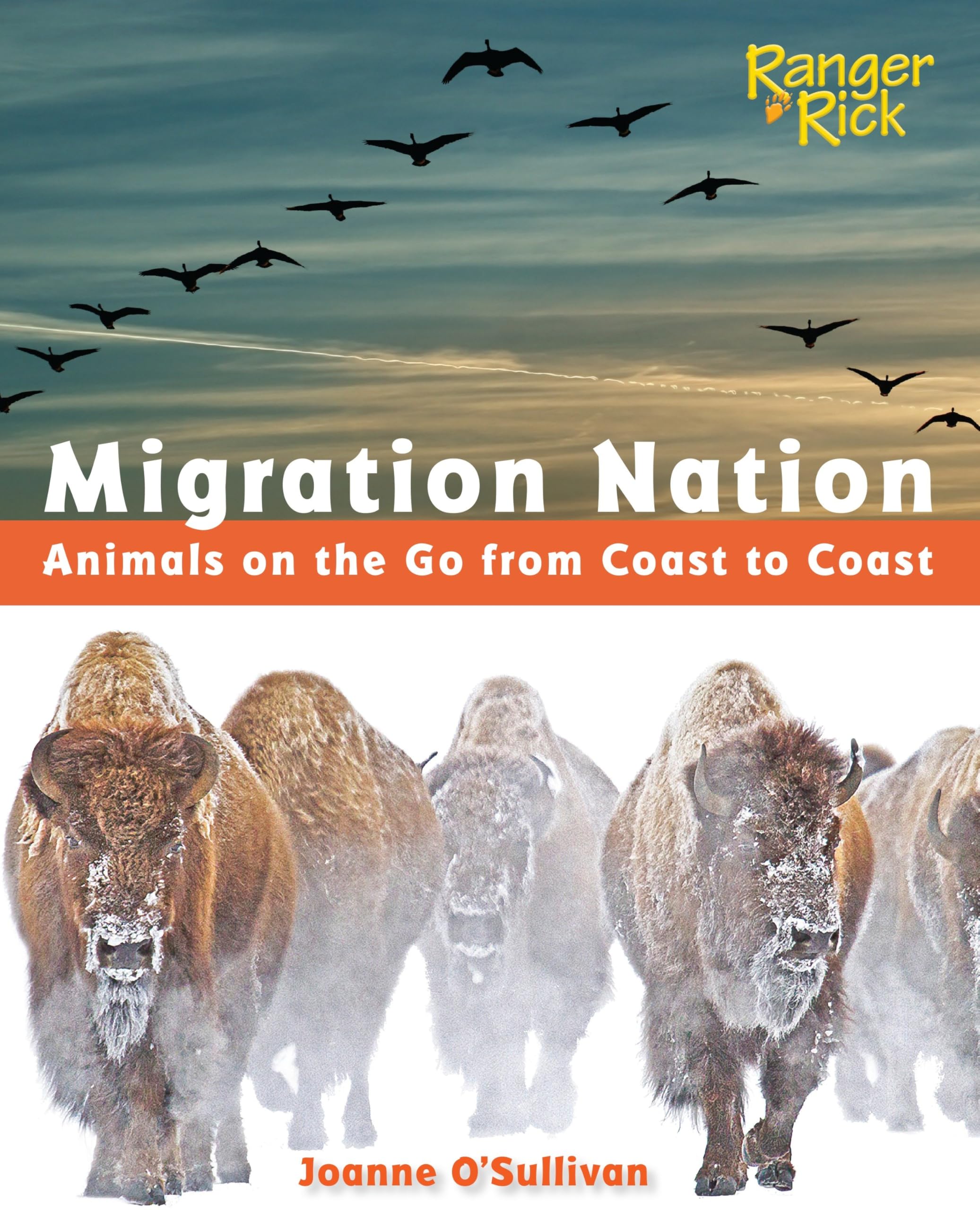 Migration Nation (National Wildlife Federation): Animals on the Go from Coast to Coast
