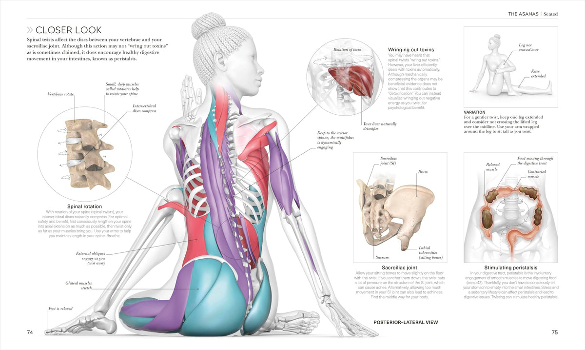 Science of Yoga: Understand the Anatomy and Physiology to Perfect Your Practice (The Science of Fitness)