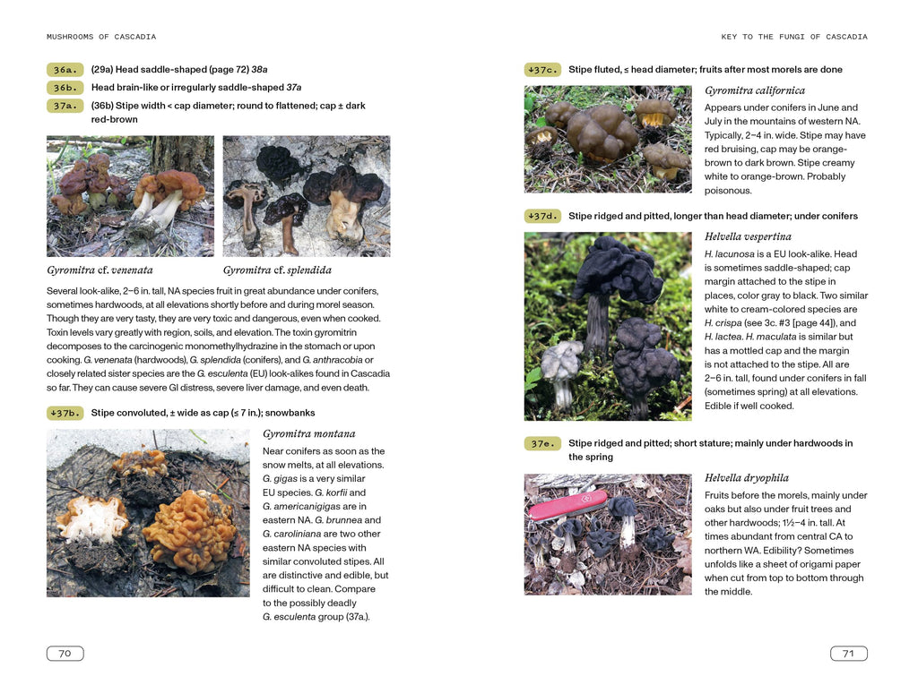 Mushrooms of Cascadia, Second Edition: An Illustrated Key to the Fungi of the Pacific Northwest