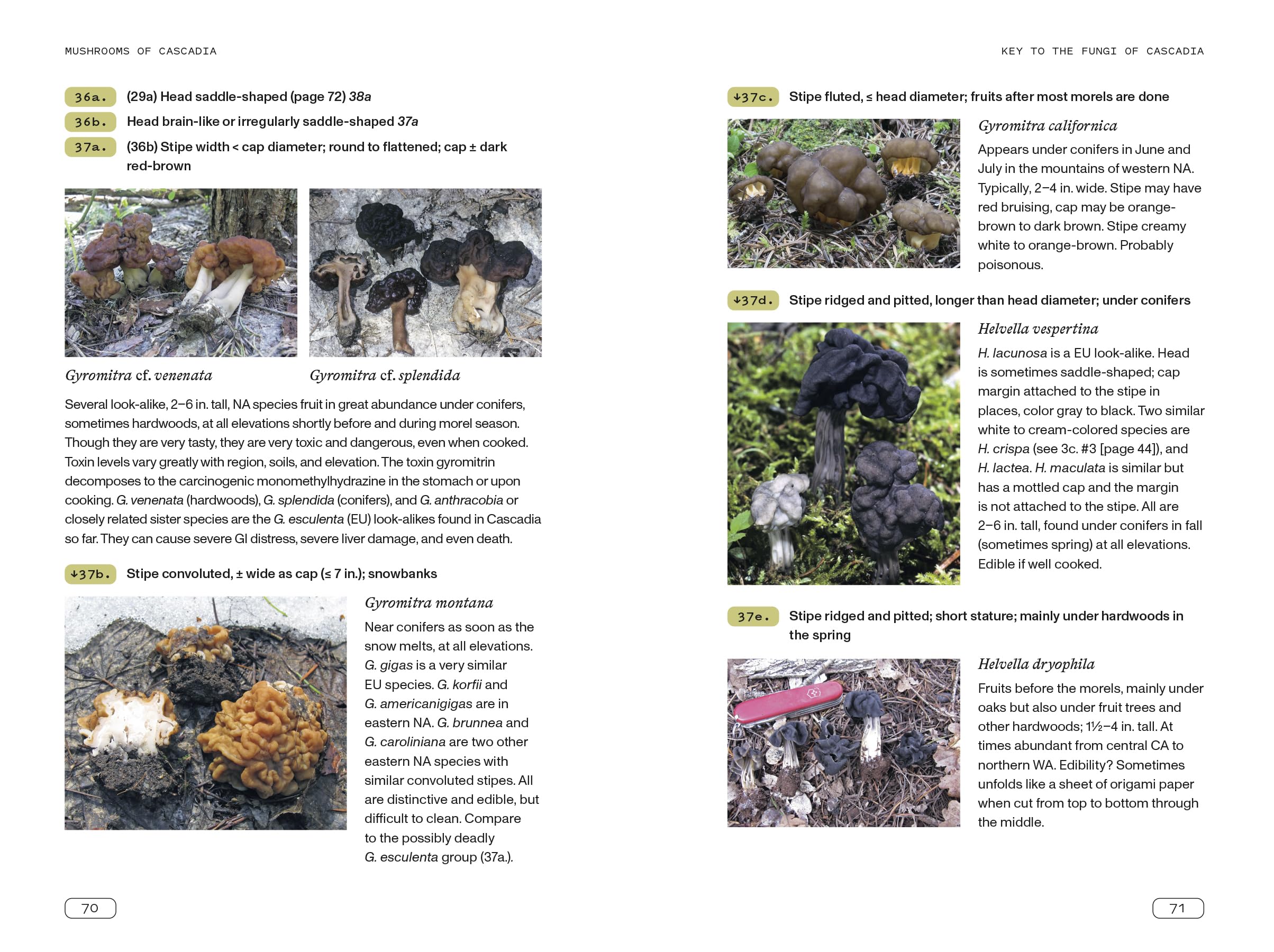 Mushrooms of Cascadia, Second Edition: An Illustrated Key to the Fungi of the Pacific Northwest