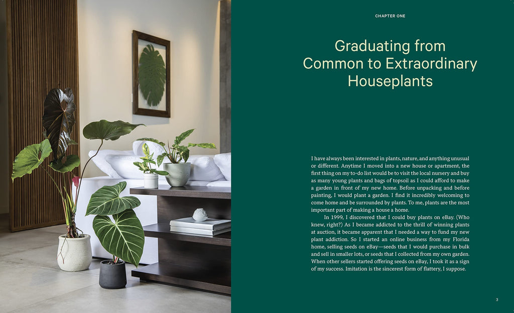 Welcome to the Jungle: Rare Tropical Houseplants to Collect, Grow, and Love