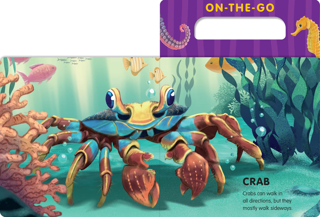 On-the-Go Ocean Animals