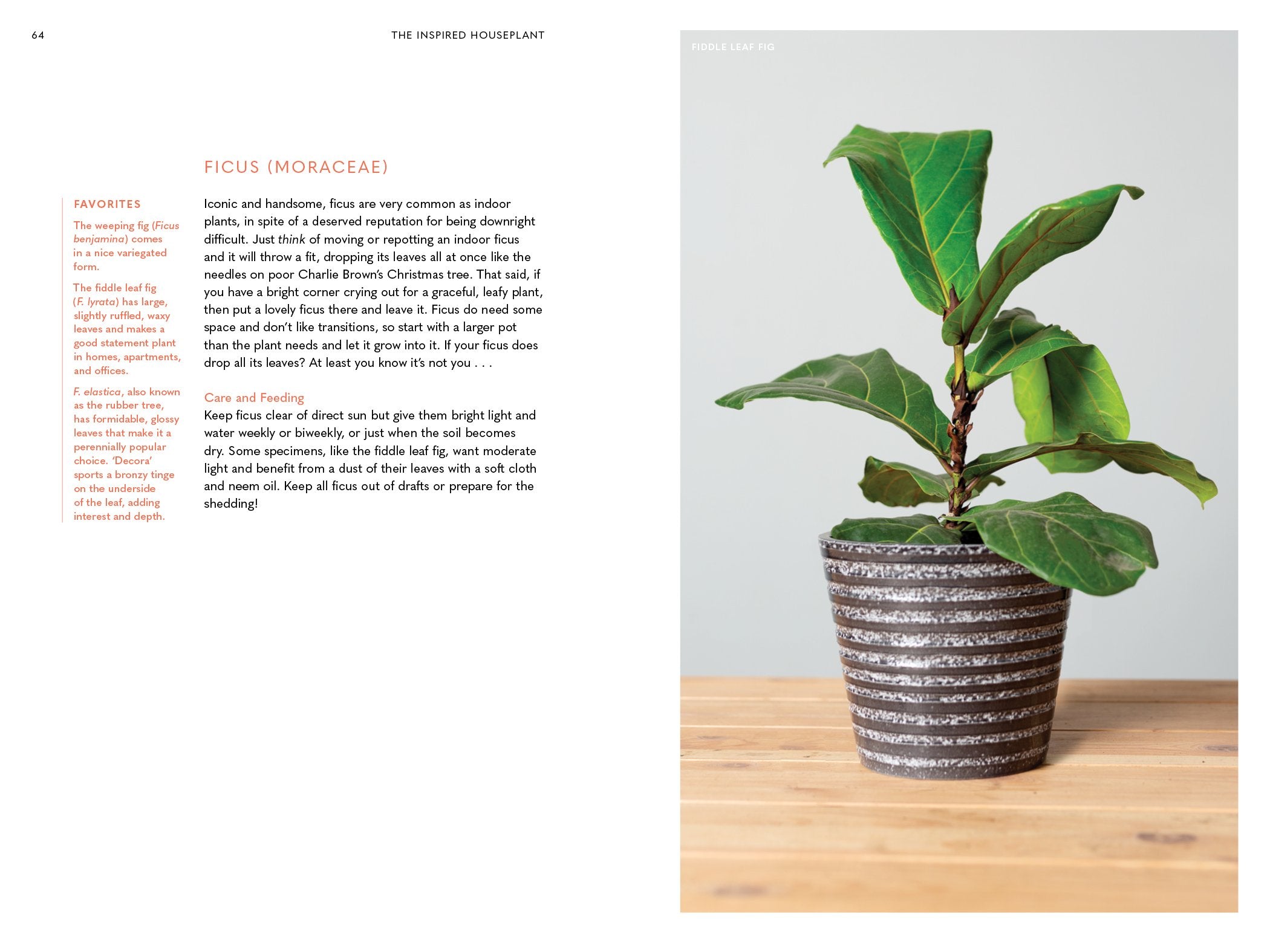 The Inspired Houseplant: Transform Your Home with Indoor Plants from Kokedama to Terrariums and Water Gardens to Edibles