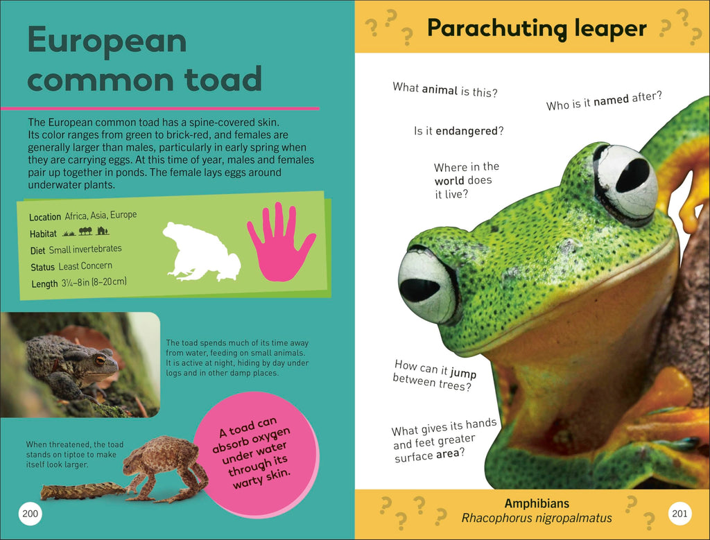 Quiz Yourself Clever! Animals of the World