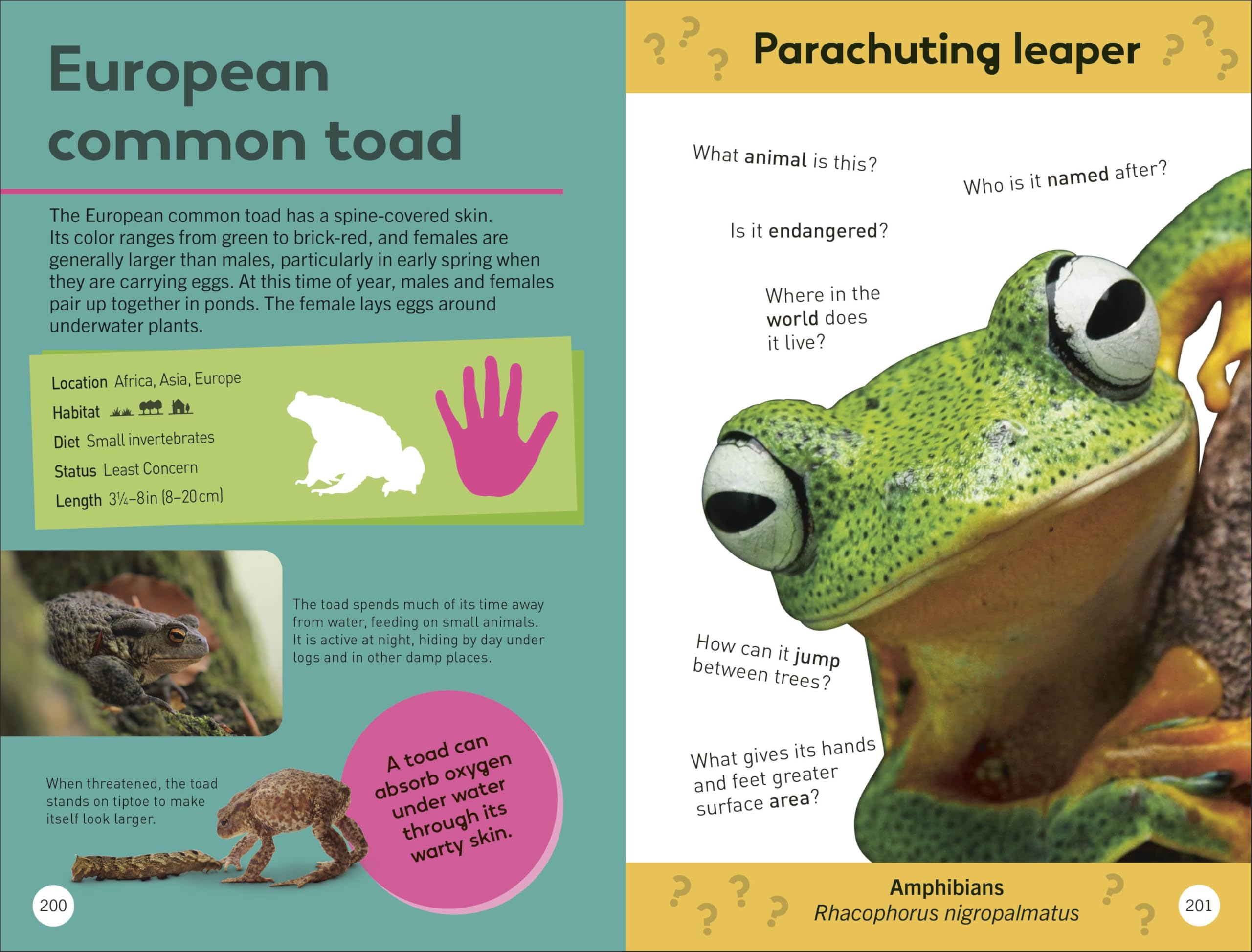 Quiz Yourself Clever! Animals of the World