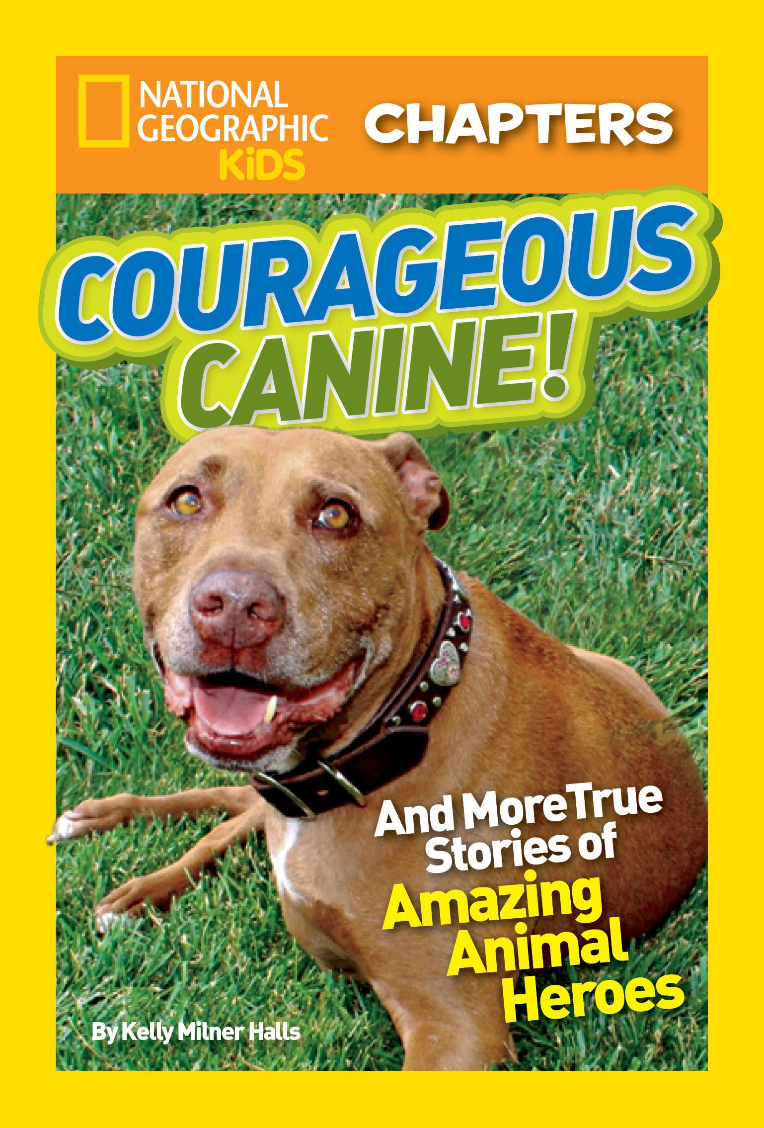 National Geographic Kids Chapters: Courageous Canine!: And More True Stories of Amazing Animal Heroes (NGK Chapters)