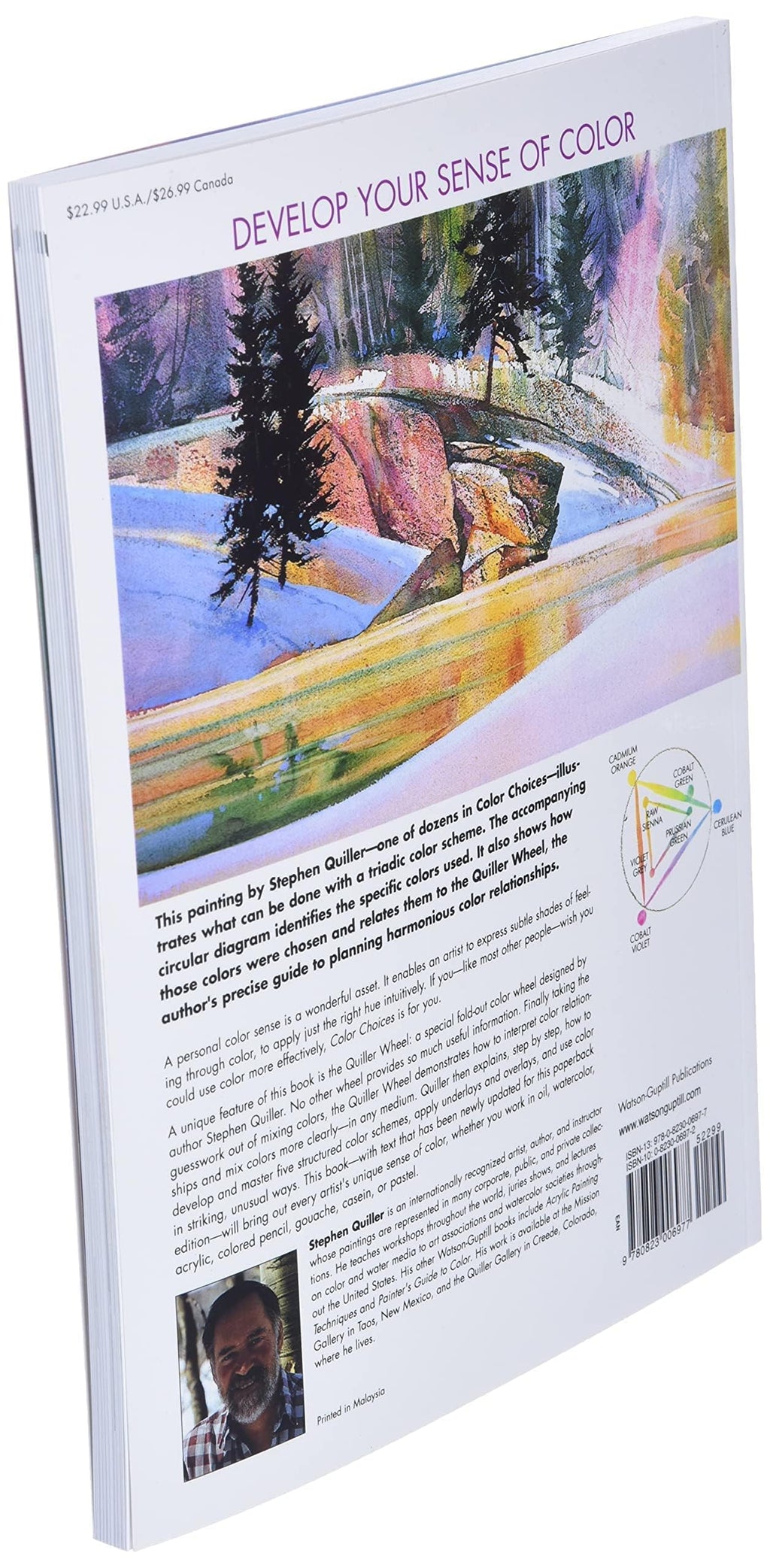 Color Choices: Making Color Sense Out of Color Theory