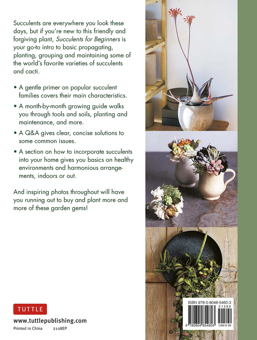 Succulents for Beginners: A Year-Round Growing Guide for Healthy and Beautiful Plants (over 200 Photos and Illustrations)