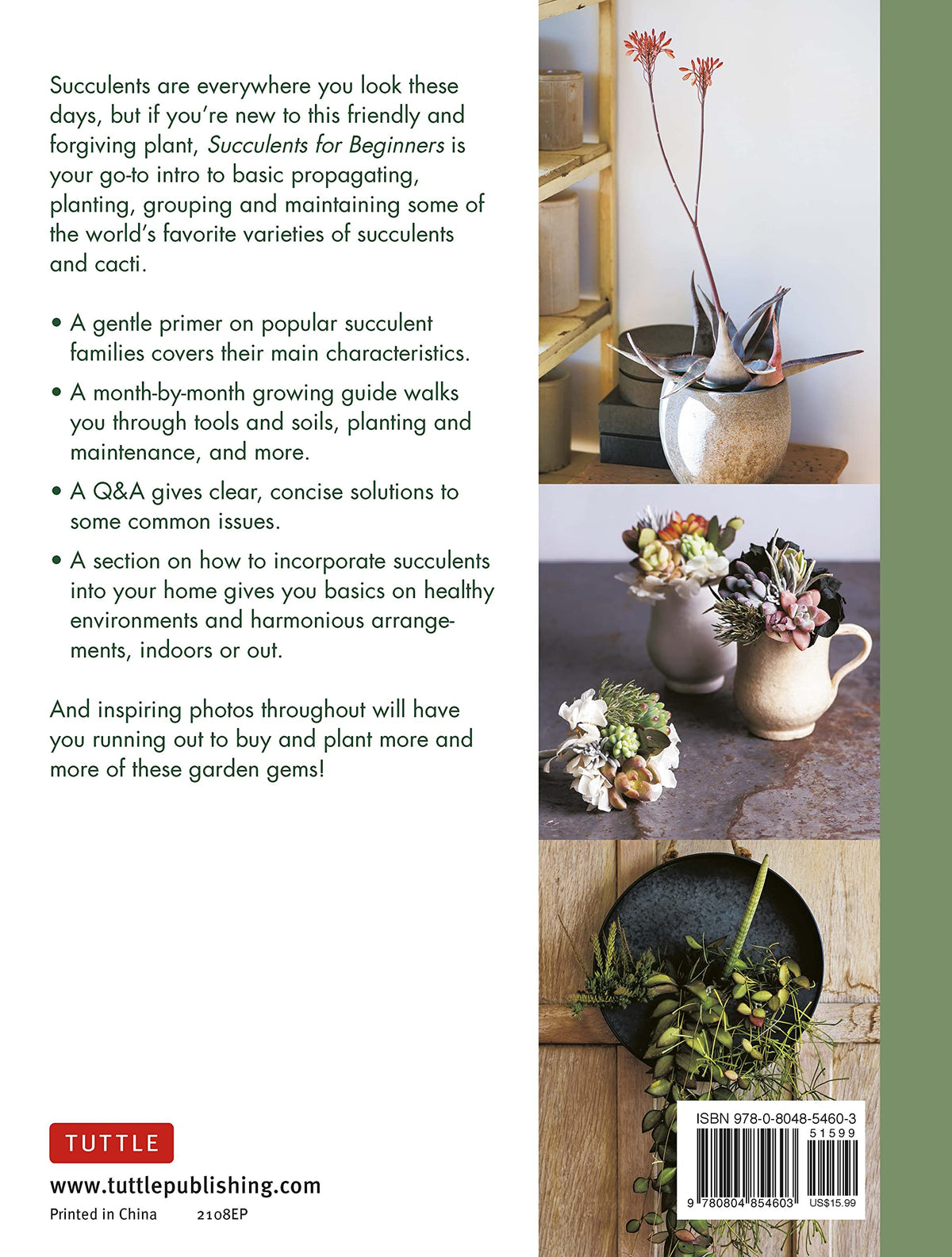 Succulents for Beginners: A Year-Round Growing Guide for Healthy and Beautiful Plants (over 200 Photos and Illustrations)