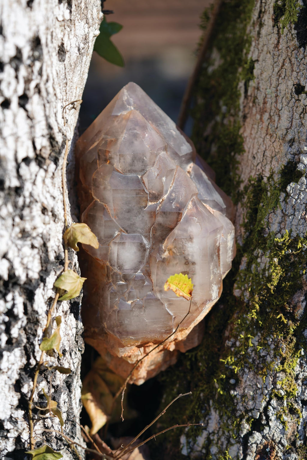 Sensory Crystal Healing: Gem Sorcery to Improve Your Wellbeing and Mindset