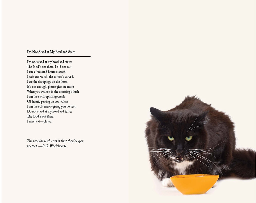 Poetry from Scratch: A Kitten's Book of Verse