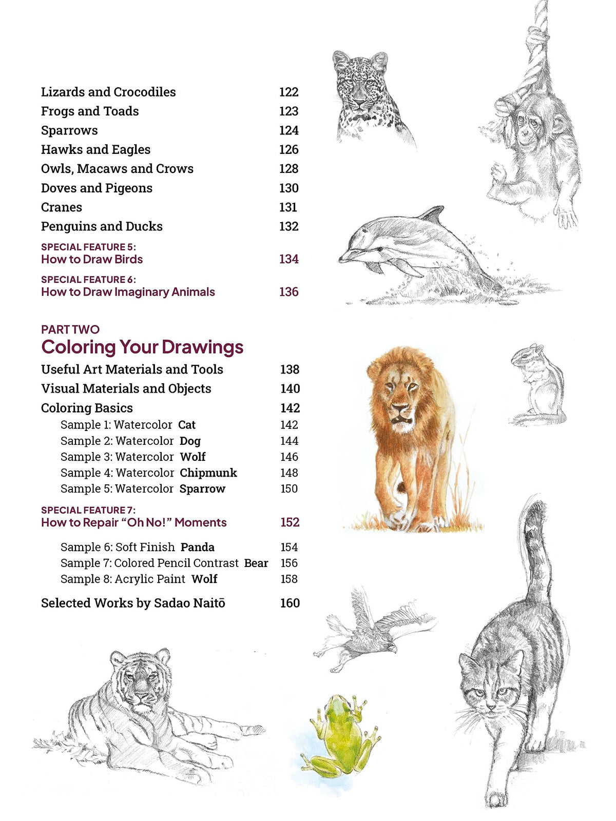 How to Draw Animals: A Visual Reference Guide to Sketching 100 Animals Including Popular Dog and Cat Breeds! (With over 800 illustrations)