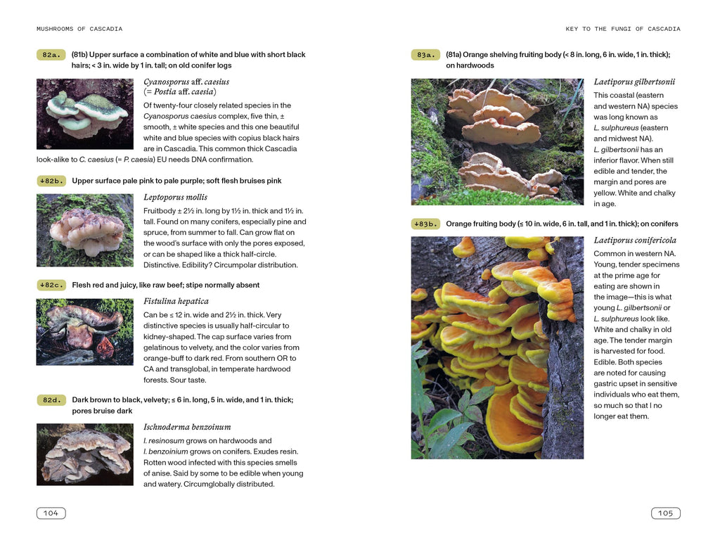 Mushrooms of Cascadia, Second Edition: An Illustrated Key to the Fungi of the Pacific Northwest